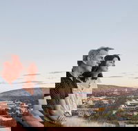Alice Springs Highlights Half-Day Tour - Accommodation Bookings