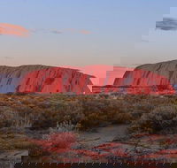 3-Day Uluru Camping Tour from Alice Springs Including Kata Tjuta and Kings Canyon - Accommodation Bookings