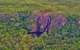 Litchfield Park Scenic Flight From Darwin - thumb 10