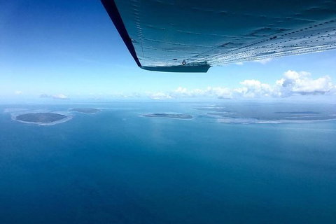 Litchfield Park Scenic Flight From Darwin - Accommodation Bookings 11