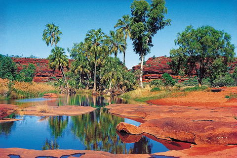 Palm Valley 4WD Tour From Alice Springs - Accommodation Bookings 1