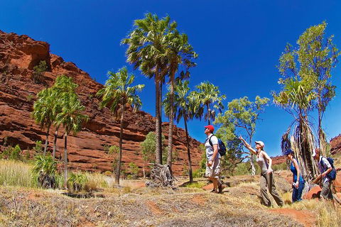 Palm Valley 4WD Tour From Alice Springs - Accommodation Bookings 0