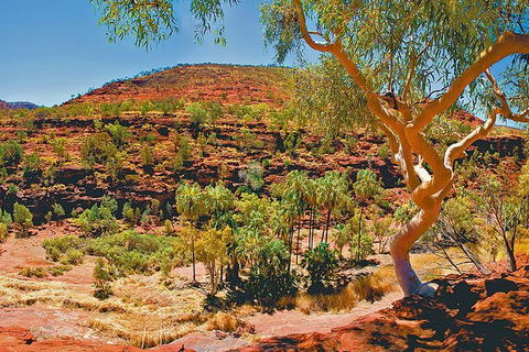 Palm Valley 4WD Tour From Alice Springs - Accommodation Bookings 6