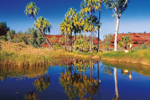 Palm Valley 4WD Tour From Alice Springs - Accommodation Bookings 3