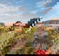 3-Day Ayers Rock and Kings Canyon Camping Tour - Accommodation Bookings