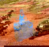 Aussie Outback Air and Land Tour Including Quad Bike Ride - Accommodation Bookings