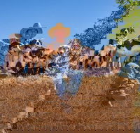 Skip-the-Line Katherine Outback Experience Show Ticket - Accommodation Bookings