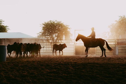 Skip-the-Line Katherine Outback Experience Show Ticket - Accommodation Bookings 3
