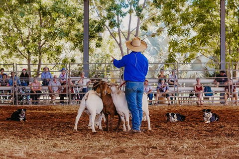 Skip-the-Line Katherine Outback Experience Show Ticket - Accommodation Bookings 7