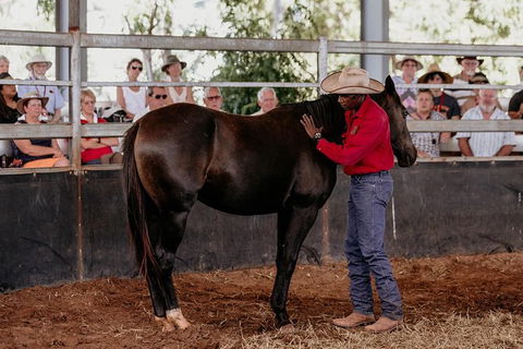 Skip-the-Line Katherine Outback Experience Show Ticket - Accommodation Bookings 10