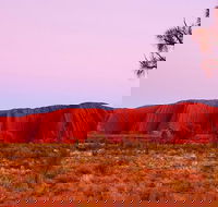 Best of Ayers Rock Sunset Uluru and Sunrise Kata Tjuta Small Group Tours - Accommodation Bookings