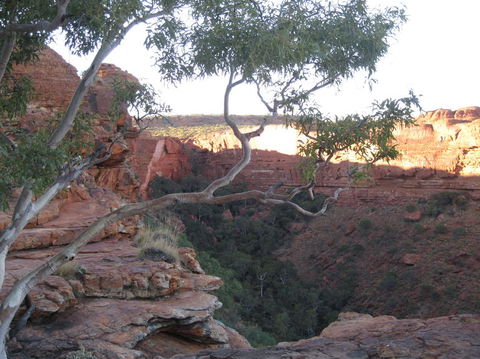 3-Day Uluru And Kings Canyon Camping Experience From Alice Springs Including Outback BBQ Dinner - Accommodation Bookings 1