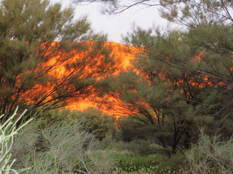 3-Day Ayers Rock, Olgas And Kings Canyon Camping Safari - Accommodation Bookings 6