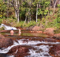 Litchfield National Park Day Tour from Darwin With Waterfalls And Buley Rockhole - Accommodation Bookings