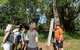 Walk The Darwin Botanic Gardens - thumb 7