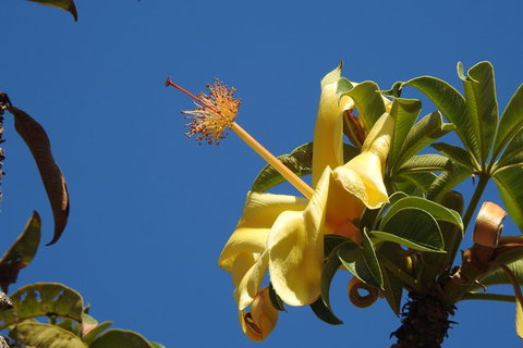 Walk The Darwin Botanic Gardens - Accommodation Bookings 6