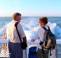 Darwin Harbour Sightseeing Cruise - Accommodation Bookings