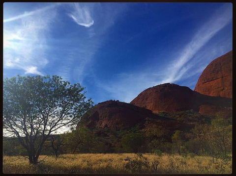 3-Day Ayers Rock To Alice Springs Camping Tour Including Kings Canyon, Kata Tjuta And Uluru - Accommodation Bookings 14