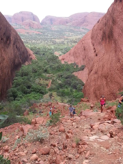 3-Day Ayers Rock To Alice Springs Camping Tour Including Kings Canyon, Kata Tjuta And Uluru - Accommodation Bookings 7