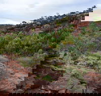 Palm Valley and Hermannsburg 1 Day 4WD Tour - Accommodation Bookings