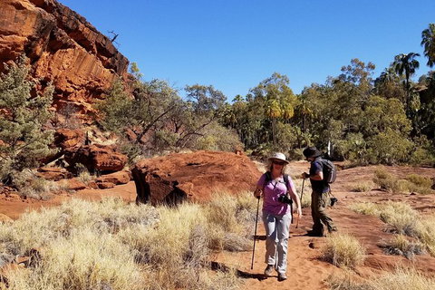 Palm Valley And Hermannsburg 1 Day 4WD Tour - Accommodation Bookings 5