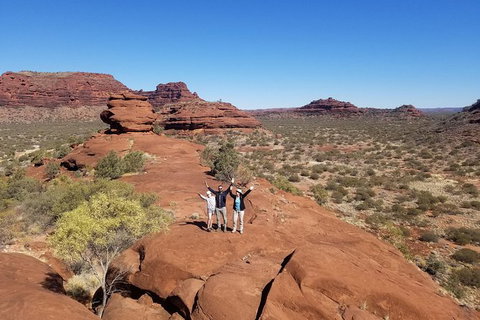 Palm Valley And Hermannsburg 1 Day 4WD Tour - Accommodation Bookings 4