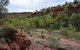 Palm Valley And Hermannsburg 1 Day 4WD Tour - thumb 8