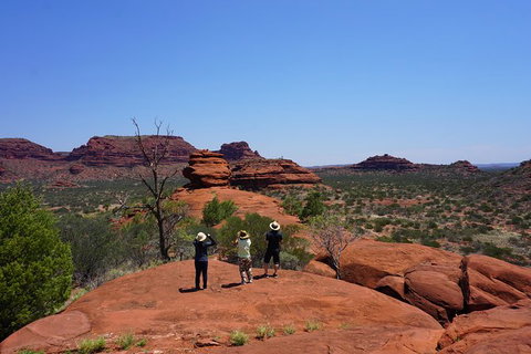 Palm Valley And Hermannsburg 1 Day 4WD Tour - Accommodation Bookings 2