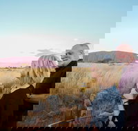 2-Day Uluru Ayers Rock and Kata Tjuta Trip from Alice Springs - Accommodation Bookings