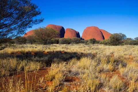 Kata Tjuta Sunrise And Valley Of The Winds Half-Day Trip - Accommodation Bookings 11