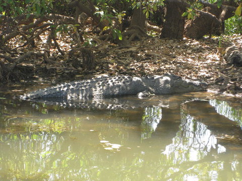 2-Day Kakadu And Arnhem Land Tour From Darwin - Accommodation Bookings 2