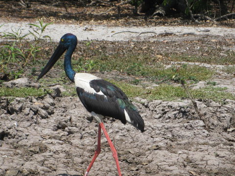 2-Day Kakadu And Arnhem Land Tour From Darwin - Accommodation Bookings 3