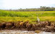 2-Day Kakadu And Arnhem Land Tour From Darwin - thumb 9