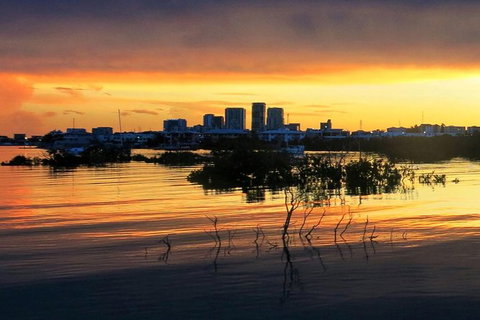 Tropical Light Tropical Bite - Twilight Cruise And CHOW Dinner - Accommodation Bookings 0
