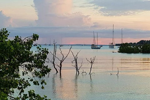 Tropical Light Tropical Bite - Twilight Cruise And CHOW Dinner - Accommodation Bookings 7