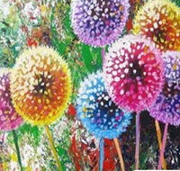 Dandelions - Six Tanks 3.00-5.00pm - Accommodation Bookings