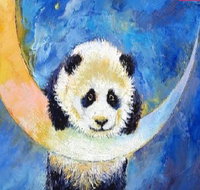 Panda Moon - Six Tanks 7.00-9.00pm - Accommodation Bookings