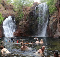 LITCHFIELD GRANDEUR AND WWII DISCOVERY - Accommodation Bookings