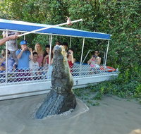 Jumping Croc Cruise - Accommodation Bookings