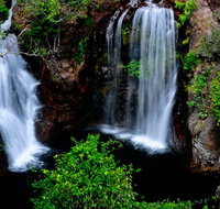 Litchfield Dreams 1 Day National Park Waterfall Swimming  Jumping Croc Cruise - Accommodation Bookings
