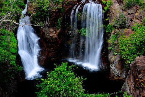 Litchfield Dreams 1 Day National Park Waterfall Swimming & Jumping Croc Cruise - Accommodation Bookings 0