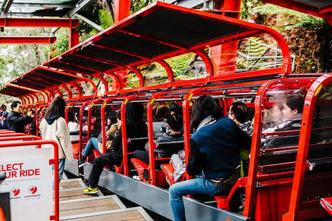 All-Inclusive Blue Mountains Day Trip With River Cruise - Accommodation Bookings 7