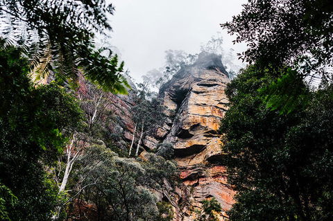 All-Inclusive Blue Mountains Day Trip With River Cruise - Accommodation Bookings 3