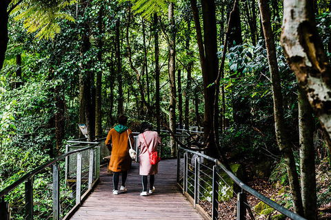 All-Inclusive Blue Mountains Day Trip With River Cruise - Accommodation Bookings 10