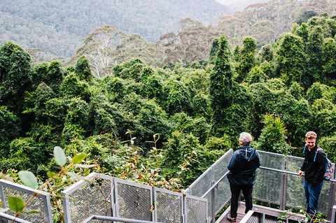 All-Inclusive Blue Mountains Day Trip With River Cruise - Accommodation Bookings 2