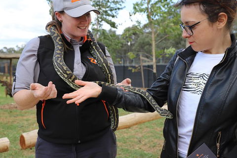 All-Inclusive Blue Mountains Day Trip With River Cruise - Accommodation Bookings 37