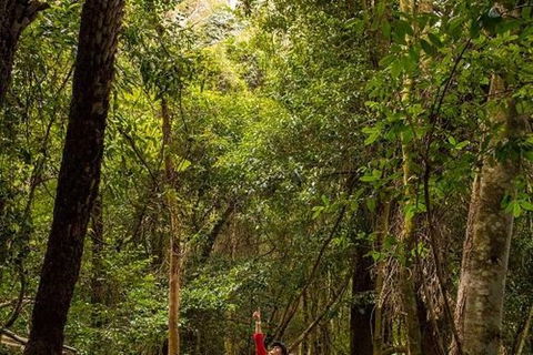 All-Inclusive Blue Mountains Day Trip With River Cruise - Accommodation Bookings 26