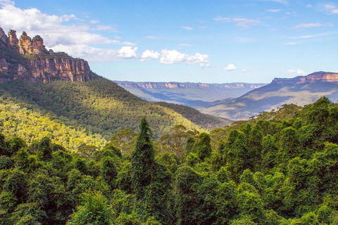 All-Inclusive Blue Mountains Day Trip With River Cruise - Accommodation Bookings 28