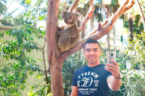 All Inclusive Full-Day Blue Mountains Trip From Sydney - Accommodation Bookings 1