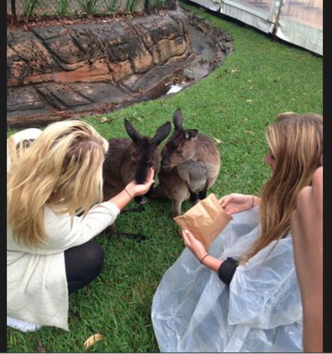 Port Stephens Day Tour With Dolphin Watching, Sandboarding & Australian Wildlife - Accommodation Bookings 15